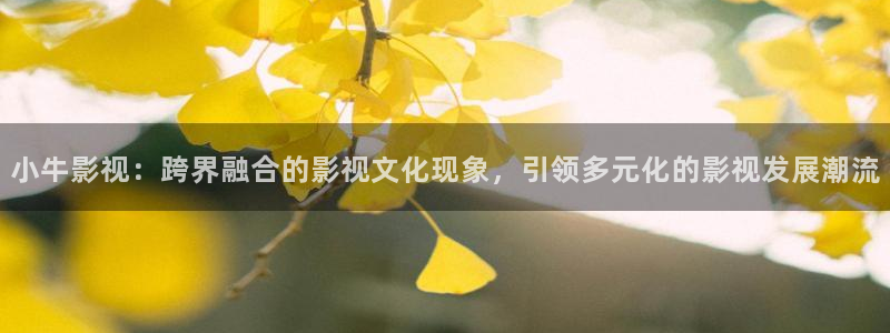 窝窝在线观看免费播放电视剧视频：小牛影视：跨界融合的影视文化现象，引领多元化的影视发展潮流