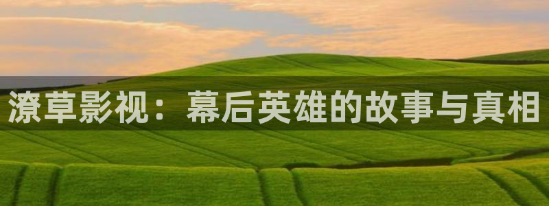 窝窝影院在线观看免费高清电视剧下载：潦草影视：幕后英雄的故事与真相